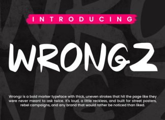 Wrongz Font preview image 1