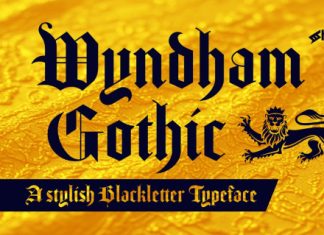 Wyndham Gothic Font preview image 1