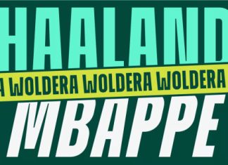 ZIA Worldera Font preview image 2
