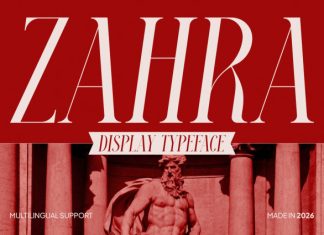 Zahra Font preview image 1
