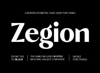Zegion – Modern Geometric Sans Serif Font preview image 1