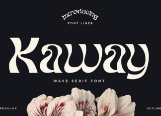 Kaway Font preview image 1