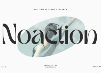 Noaction Font preview image 1