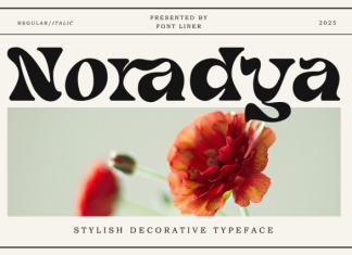 Noradya Font preview image 1