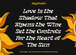 Noradya Font preview image 2