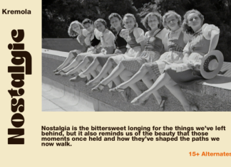 Kremola Font preview image 3