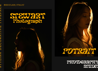 Noradya Font preview image 3