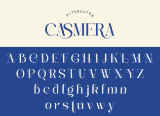 Casmera Font preview image 3