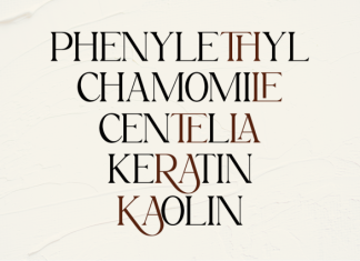 Magnola Font preview image 3