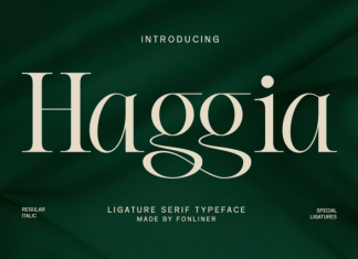 Haggia Font preview image 1
