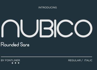 Nubico Font preview image 1