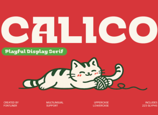Calico Font preview image 1