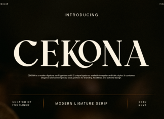 Cekona Font preview image 1