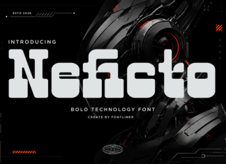 Neficto Font preview image 1