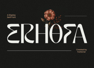 Erhofa Font preview image 1