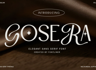 Gosera Font preview image 1