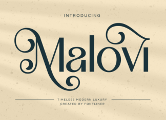 Malovi Font preview image 1