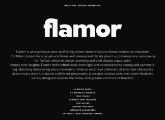 Flamor Font preview image 2
