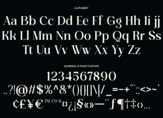 Faresty Font preview image 2