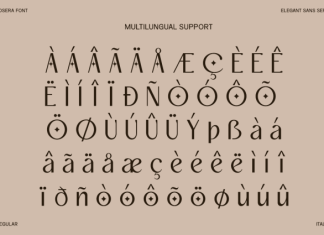 Gosera Font preview image 2