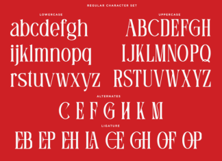 Mofela Font preview image 3