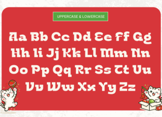 Calico Font preview image 3