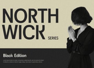 Rovique – Sans Serif Font preview image 3