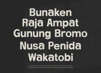 Kingsley – Serif Font preview image 3