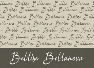 Bellina – Handwritten Font preview image 2