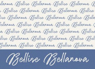 Baslina – Handwritten Font preview image 2