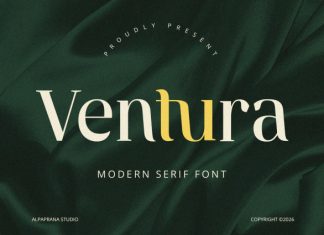 Ventura – Serif Font preview image 1