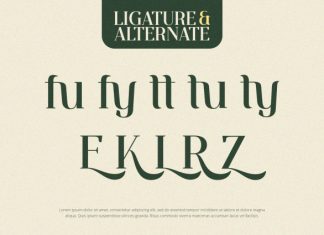 Ventura – Serif Font preview image 3
