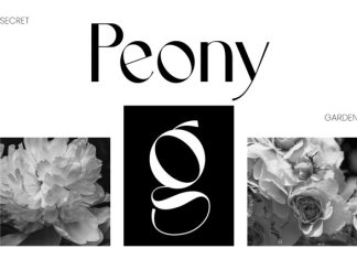 ACUMA – Refined Editorial Serif Font preview image 3