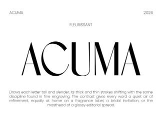 ACUMA – Refined Editorial Serif Font preview image 2
