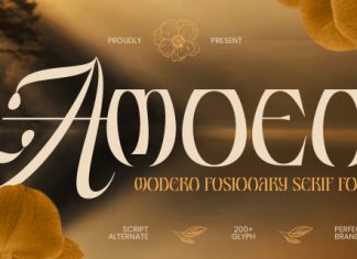 AMOEN – Modern Fusionary Serif Font preview image 1