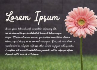 Aaksaraan Rania Font preview image 2