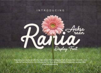 Aaksaraan Rania Font preview image 1