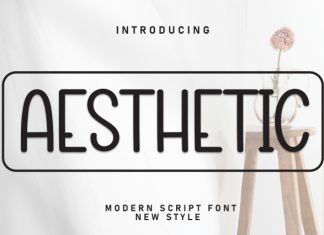 Aesthetic Font preview image 1
