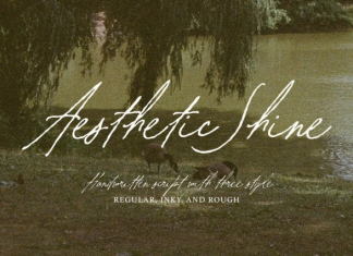 Aesthetic Shine Handwritten Script Font preview image 1