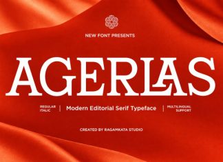 Agerlas – Stylish Modern Serif Font preview image 2
