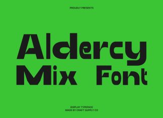 Aldercy Mix Font preview image 1