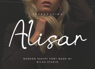 Alisar Modern Script Font preview image 1