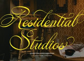 Alventary Classic Elegant Script Font preview image 3
