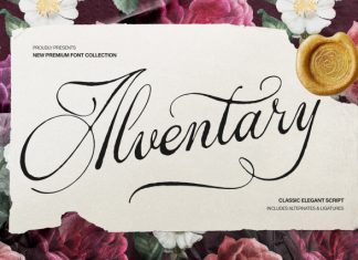 Alventary Classic Elegant Script Font preview image 1