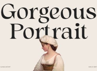 Alvinus Distort Font preview image 3