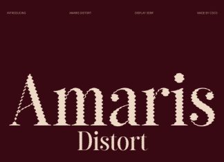 Amaris Distort Font preview image 1