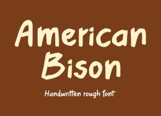 American Bison Font preview image 1