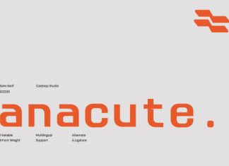 Anacute – Industrial Mono Sans Font preview image 1