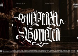 Anakfonta — Mystical Blackletter Display Font preview image 2