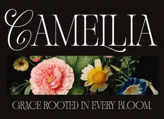 Andiena Bielsa – Hybrid Font preview image 3